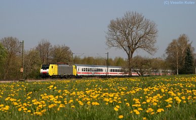 Löwenzahnblüte in Oberbayern! Die der italienischen Gesellschaft NordCargo gehörende 189 989 wurde am Vormittag des 25.04.2010 nahe Ostermünchen aufgenommen. Der Zug, EC 85, ist von München nach Bologna unterwegs. Man hört, dass wahrscheinlich  bald ÖBB-Tauri die 189er ersetzen werden.