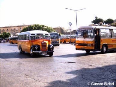 Jeder Tag ein Verkehrshistorischer Tag: Linienbusse am zentralen Busbahnhof in Maltas Hauptstadt Valetta