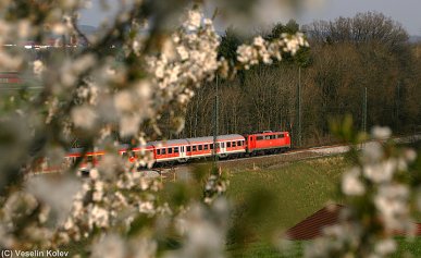 Endlich ist der Frühling da: Am 17.04.2010 blühen in Aßling schon die ersten Bäume. Im Bild eine Lok der Reihe 111, die mit ihrem Regionalexpress-Zug Aßling in Richtung Salzburg verlässt.