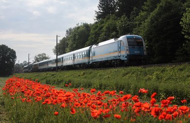 Sommerliche Atmosphäre und ein ALEX-Zug am 27.05.2012 bei Marzling.
