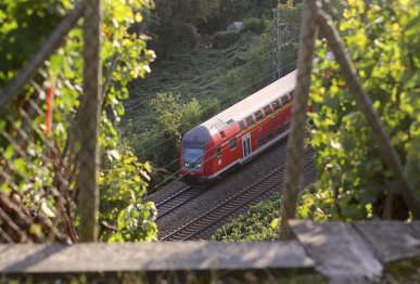 Blick zwischen den Weinreben: Am 27.09.2015 wurde ein Doppelstockzug bei Besigheim aufgenommen.