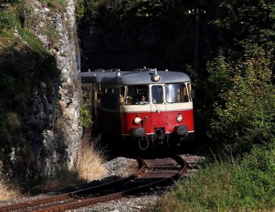 Am 19.09.2019 musste diese MAN-Schienenbusgarnitur im Regelbetrieb auf der Schwäbischen-Alb-Bahn einspringen. Die Aufnahme entstand bei Kohlstetten.